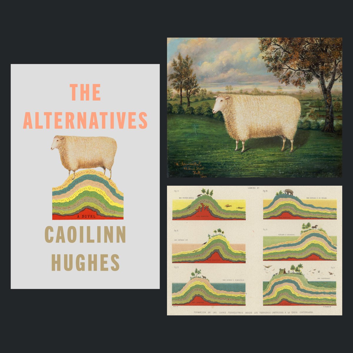 Lauren Peters-Collaer - The Alternatives by Caoilin Hughes. Published by Penguin Random House, United States.