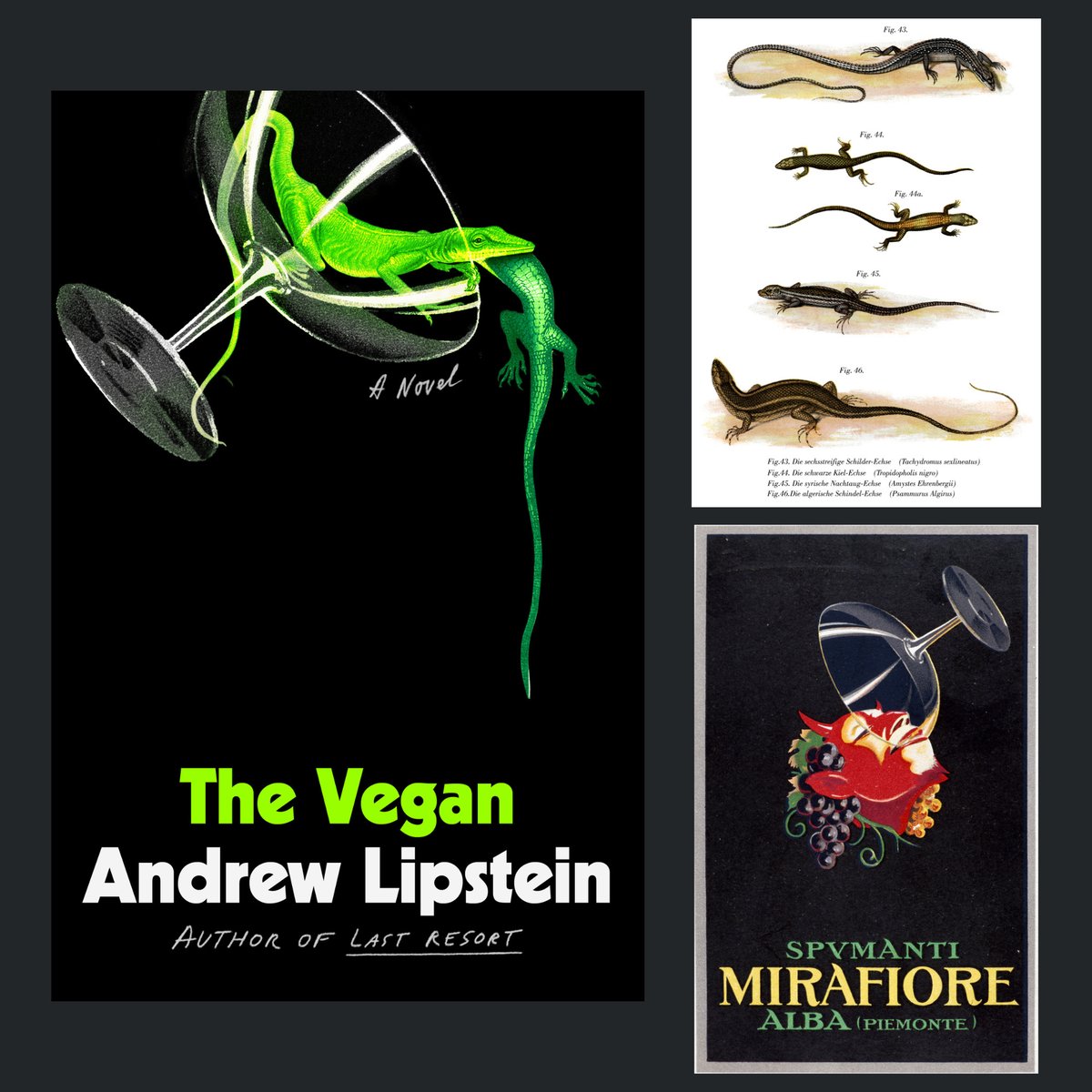 Cecilia R. Zhang - The Vegan by Andrew Lipstein. Published by FSG, United States. 